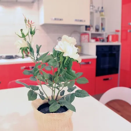 Florje House 아파트