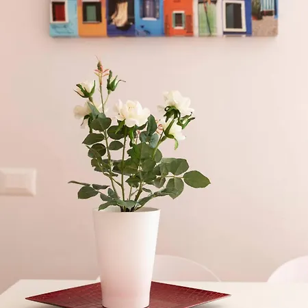 Florje House Apartament *